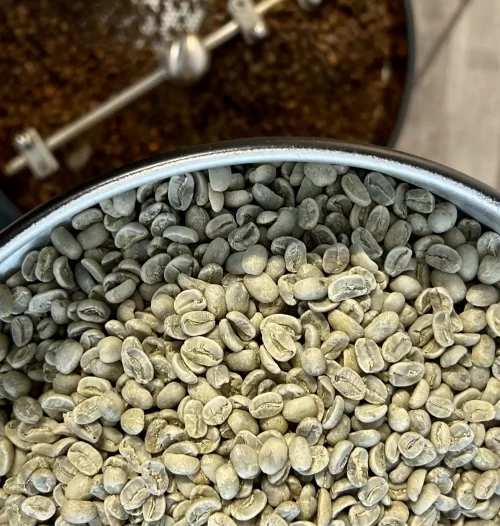 Fermele-de-cafea-scaled-e1739386365905